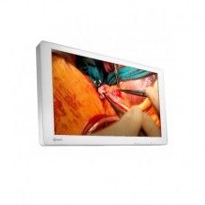 EIZO CuratOr EX3140