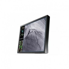 EIZO CuratOr LX1910