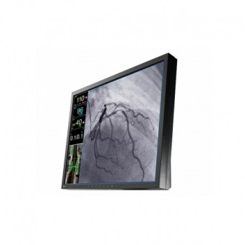 EIZO CuratOr LX1910