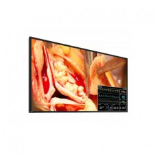 EIZO CuratOr LX491W