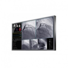 EIZO CuratOr LX550W
