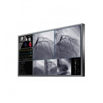 EIZO CuratOr LX550W
