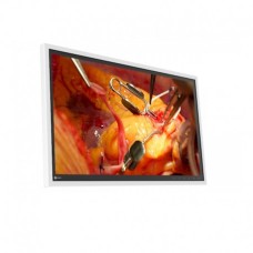 EIZO RadiForce EX271W