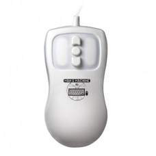PM/W5 Petite Mouse